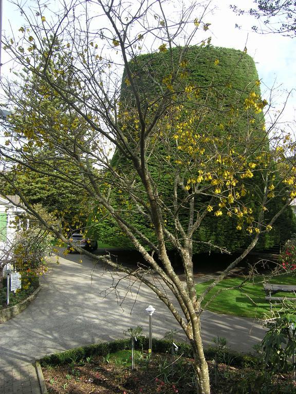Bucket Tree Lodge Tawa Extérieur photo