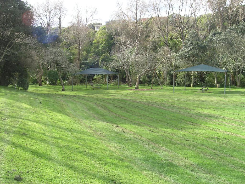 Bucket Tree Lodge Tawa Extérieur photo